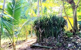 La Familia Guest House And Natural Farm