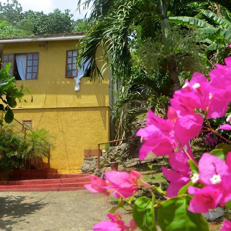 La Familia Guest House And Natural Farm Port Antonio Exterior photo