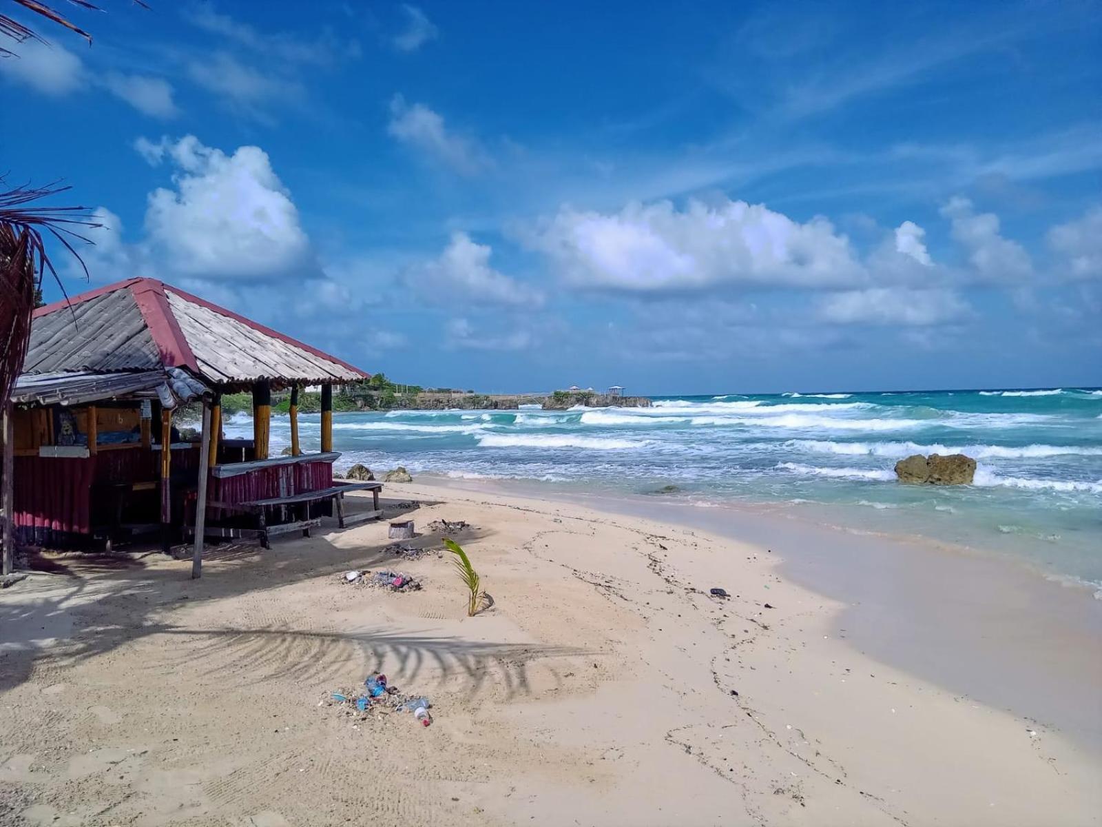 La Familia Guest House And Natural Farm Port Antonio Exterior photo