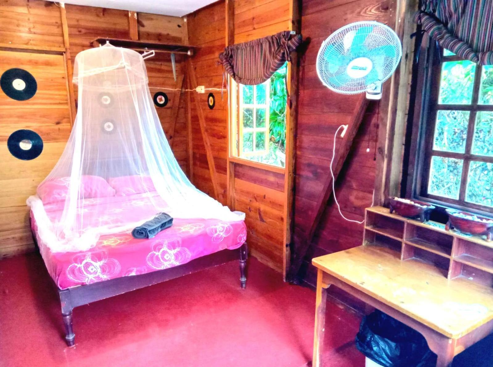La Familia Guest House And Natural Farm Port Antonio Exterior photo