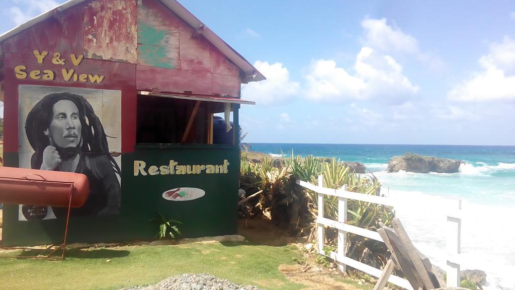La Familia Guest House And Natural Farm Port Antonio Exterior photo