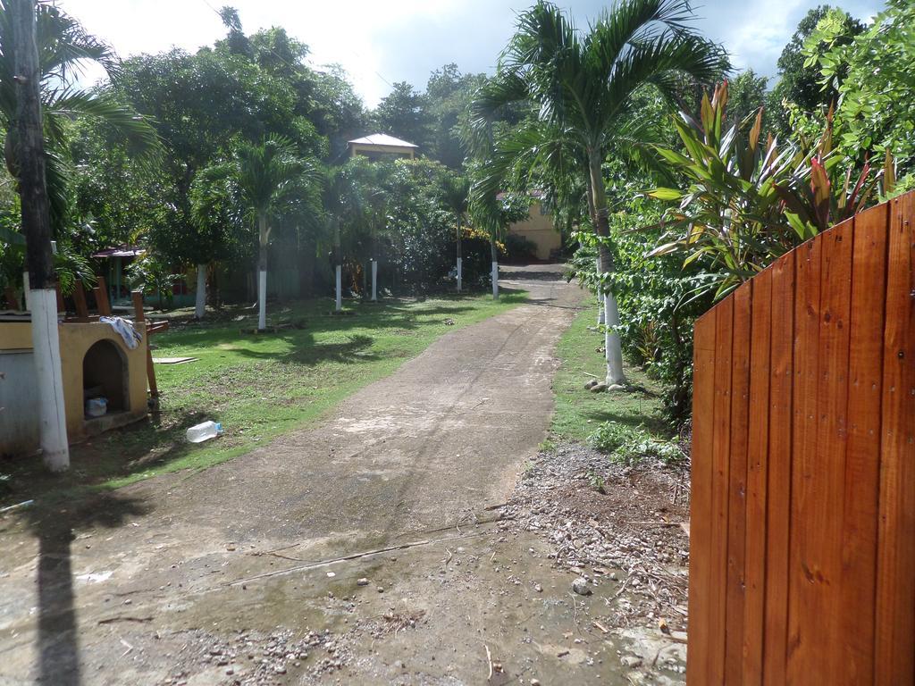 La Familia Guest House And Natural Farm Port Antonio Exterior photo