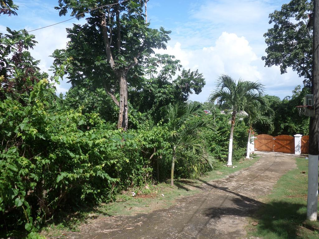 La Familia Guest House And Natural Farm Port Antonio Exterior photo