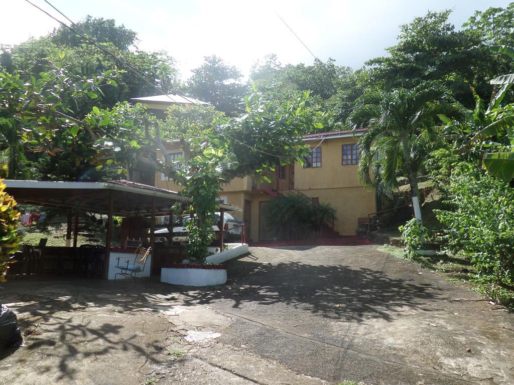 La Familia Guest House And Natural Farm Port Antonio Exterior photo