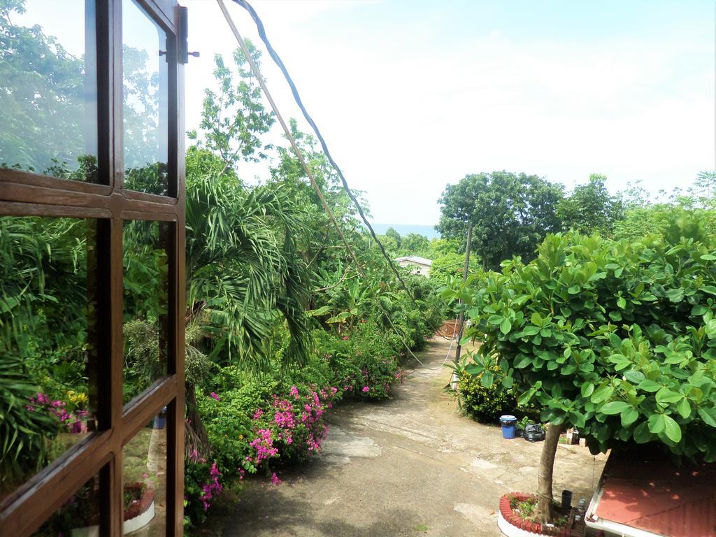 La Familia Guest House And Natural Farm Port Antonio Exterior photo