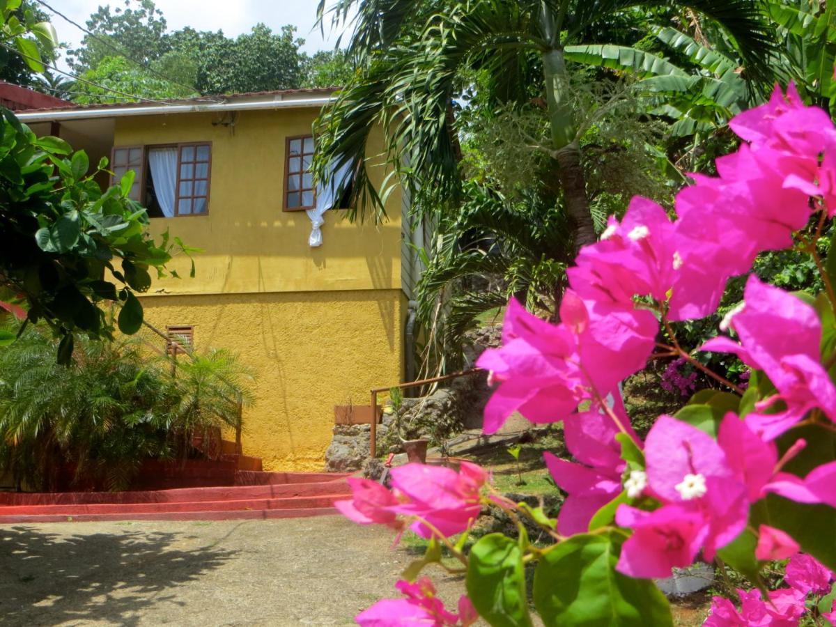La Familia Guest House And Natural Farm Port Antonio Exterior photo